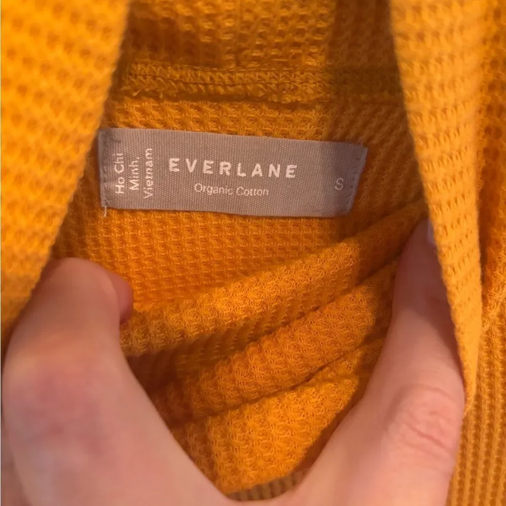 Everlane Golden Waffle Knit Turtleneck Sweater